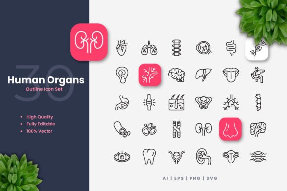 Enhancing Visual Communication with Human Organs Outline Icons